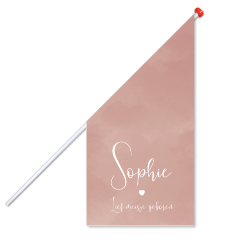 Geboortevlag meisje met naam roze en een hartje