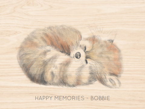 Houten herinneringenkistje met slapend rood pandabeertje