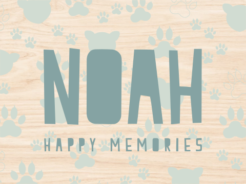 Houten herinneringenkistje met panterpootafdrukken en panterkop