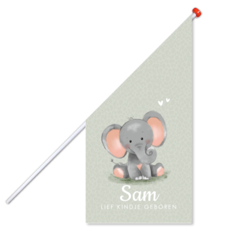 Geboortevlag jongen met lief olifantje en babynaam