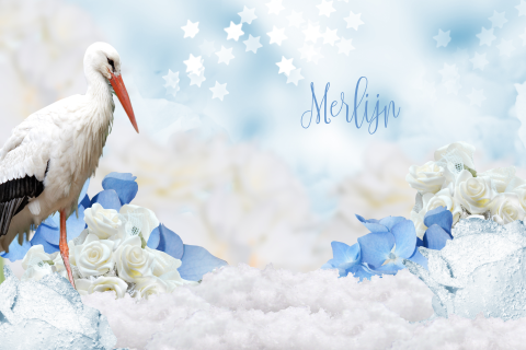 sprookjesgeboortekaartje met ooievaar sneeuw blauwe bloemen