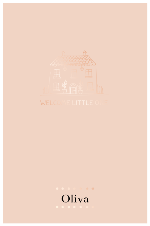 Meisjesgeboortekaartje met huisje Welcome Little One