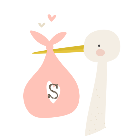 Sluitzegel geboortekaartje meisje ooievaar