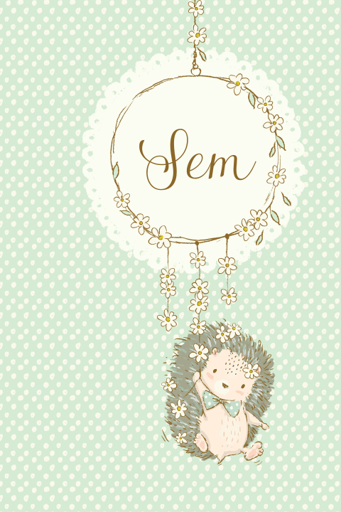 Lief geboortekaartje met egeltje in mintgroen
