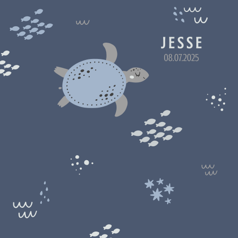 Geboortekaartje met schildpad in blauwtinten