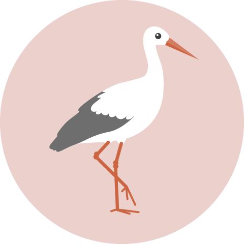 Sluitzegel geboortekaartje meisje ooievaar roze