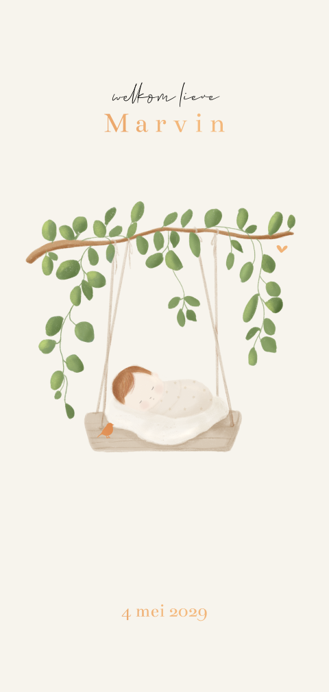 Geboortekaartje baby in schommel met takje