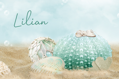 sprookjes geboortekaartje zomer schelpen strand mint