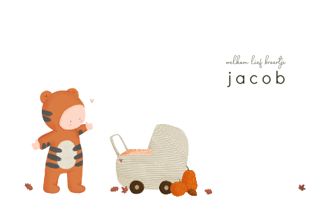 Lief geboortekaartje herfst tijgertj,e kinderwagen en pompoenen