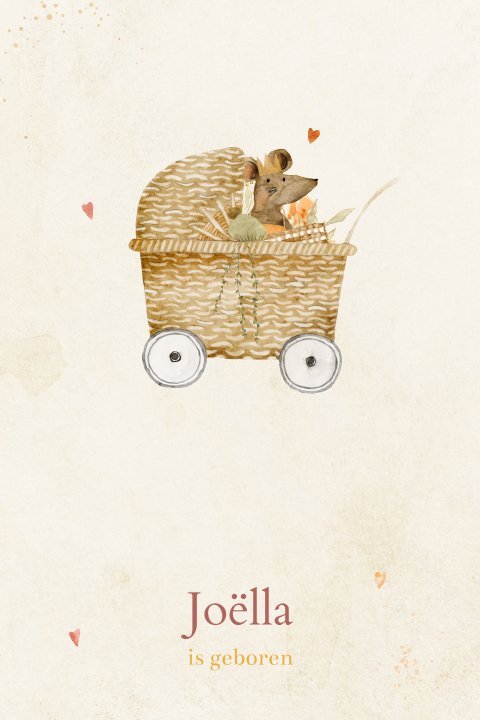 Lief geboortebord met kinderwagen en muisje