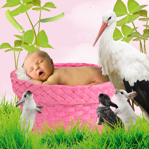 sprookjesgeboortekaartje meisje in mandje