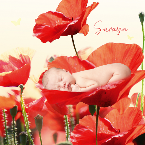 Sprookjesgeboortekaartjes klaprozen babyfoto