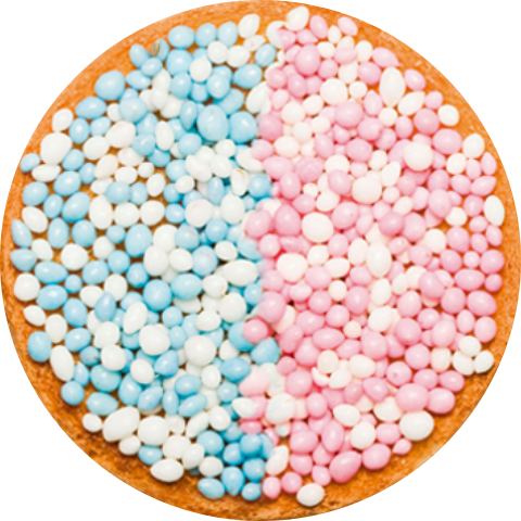 Sluitzegel geboorte beschuit met roze en blauwe muisjes