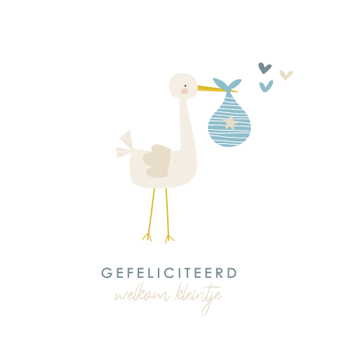 Felicitatie geboorte zoon ooievaar