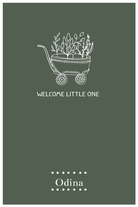 Geboortekaartje met wagentje Welcome Little One