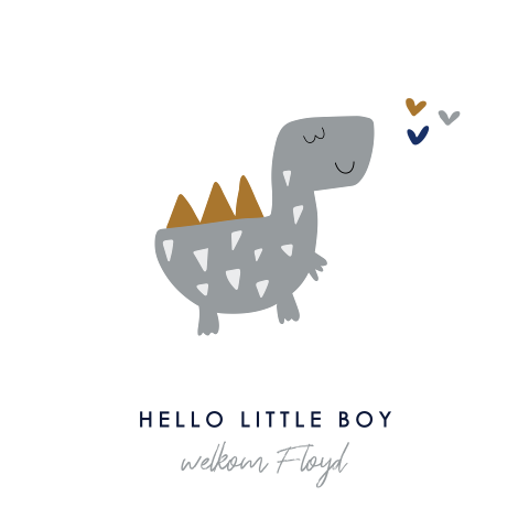 Felicitatie geboorte zoon dino