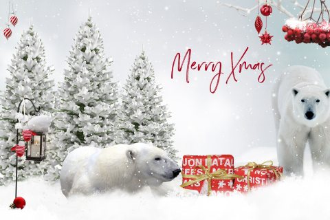 sprookjes kerstkaart ijsberen cadeautjes kerstbomen