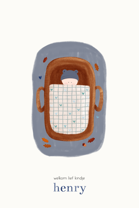 Lief geboortekaartje herfst illustratie baby in mandje blauw