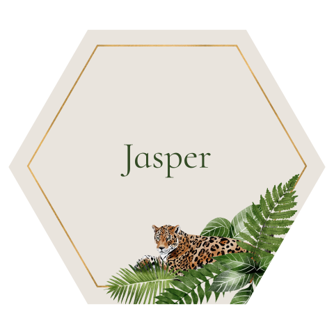 Geboortekaartje jungle jagua voor een jongen