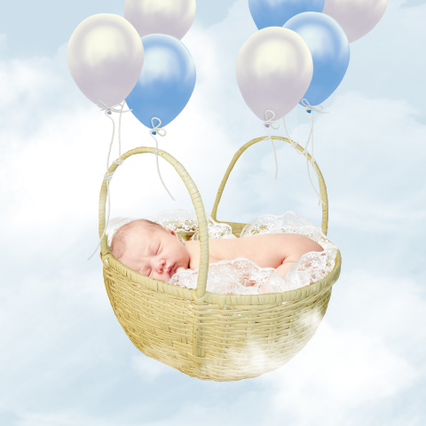 zoet sprookjesgeboortekaartje met baby in mandje
