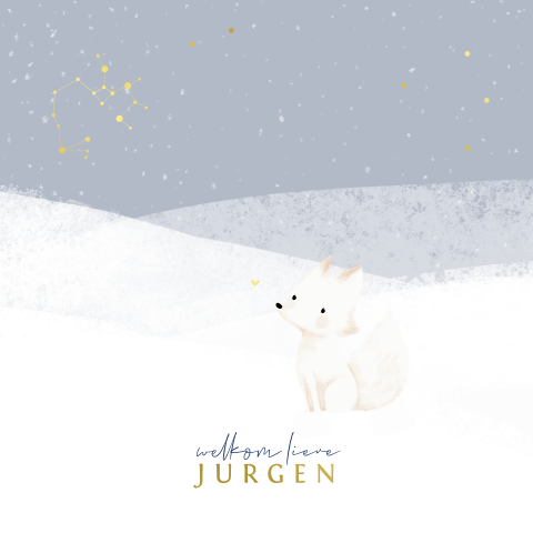 Winter geboortekaartje met vosje in de sneeuw met sterrenbeeld