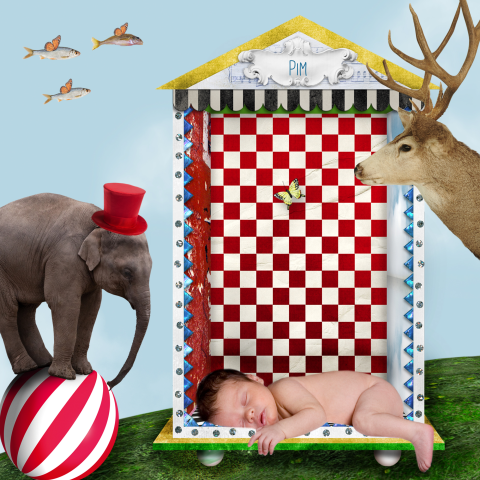 sprookjesgeboortekaartje olifant circus
