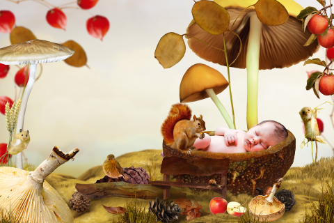 sprookjesgeboortekaartje herfst paddenstoelen