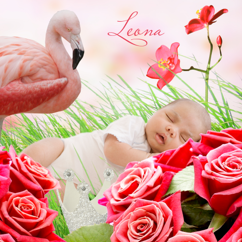 sprookjesgeboortekaartje met flamingo en roze bloemen