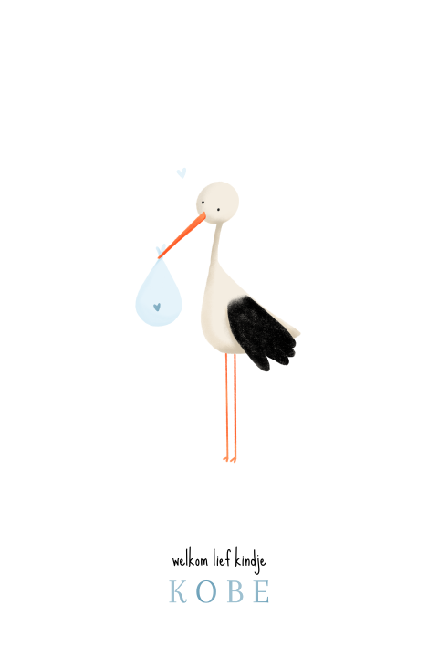 Lief geboortekaartje met ooievaar voor een jongen in blauw