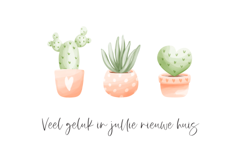 Felicitatiekaart nieuwe woning cactus hartjes