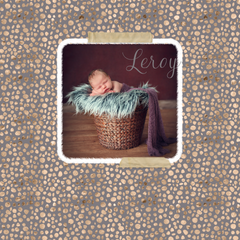 Geboortekaartje met foto en dierenprint in goud en grijs