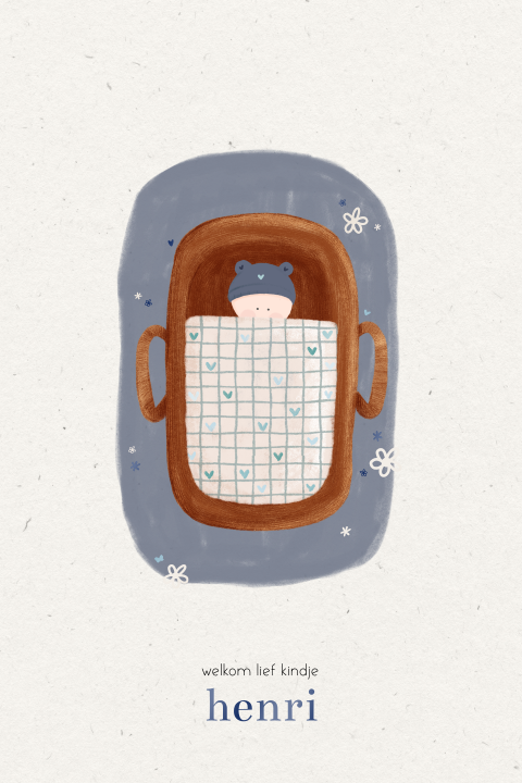 Lief geboortekaartje lente illustratie baby in mandje blauw