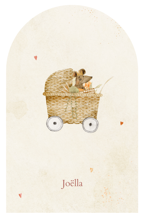 Lief geboortekaartje met kinderwagen en muisje