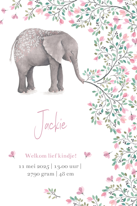 Lief geboortekaartje met olifantje en roze groene takjes