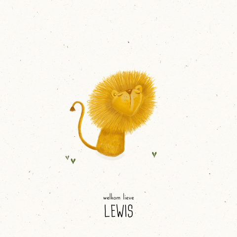 Geboortekaartje met leuk leeuwtje