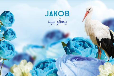 sprookjesgeboortekaartje met ooievaar en blauwe bloemen