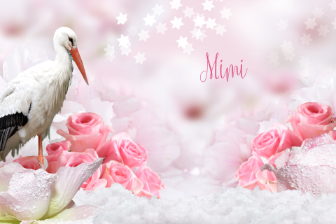 sprookjesgeboortekaartje met ooievaar sneeuw roze bloemen