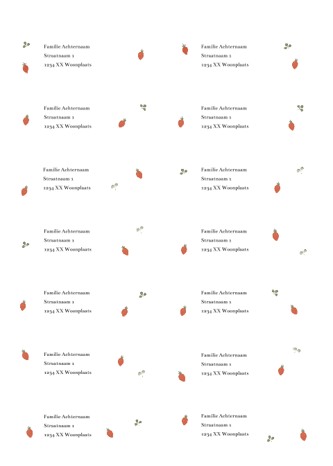 Adressticker geboorte aardbeitjes & blaadjes