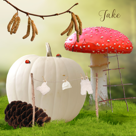sprookjesgeboortekaartje herfst met pompoen en paddenstoelen