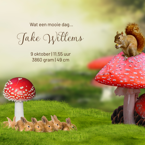 Kaart binnenkant