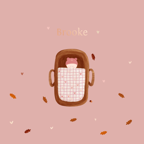 Lief geboortekaartje herfst illustratie baby in mandje roze