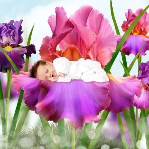 sprookjesgeboortekaartje baby in iris roze paars