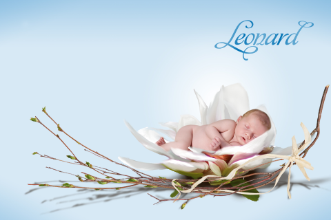 Sprookjesgeboortekaartje baby witte bloem