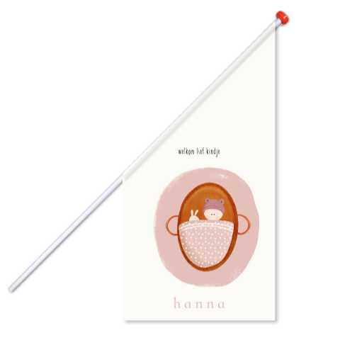 Geboortevlag met schattige baby in mandje met mutsje