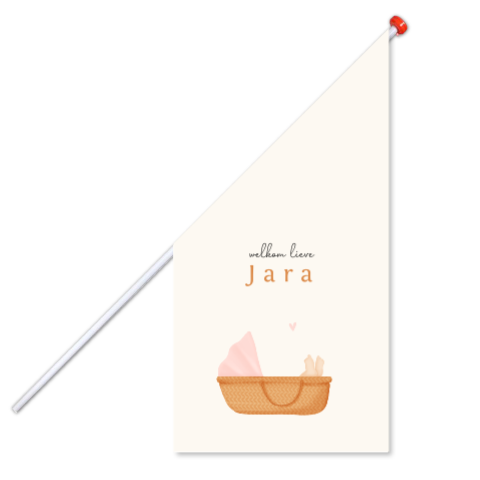 Geboortevlag met baby in een mandje in roze