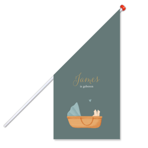 Geboortevlag met baby in een mandje in blauw groen