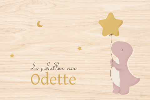 Memorybox dinosaurus met sterballon