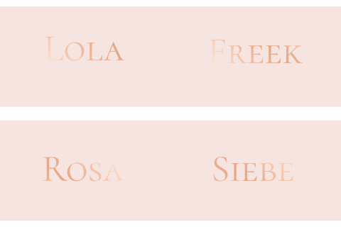 Roze naamkaartjes met folie