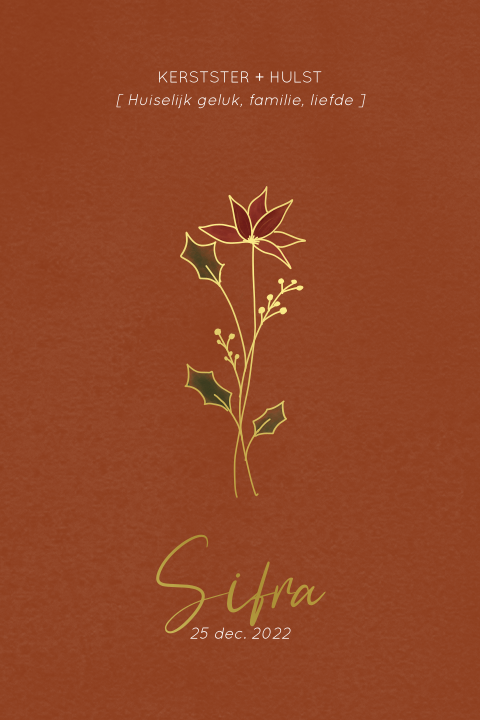 Poster babykamer geboortebloem december