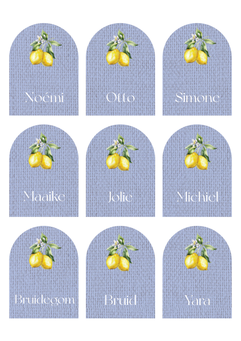 Naamkaartjes boogvorm